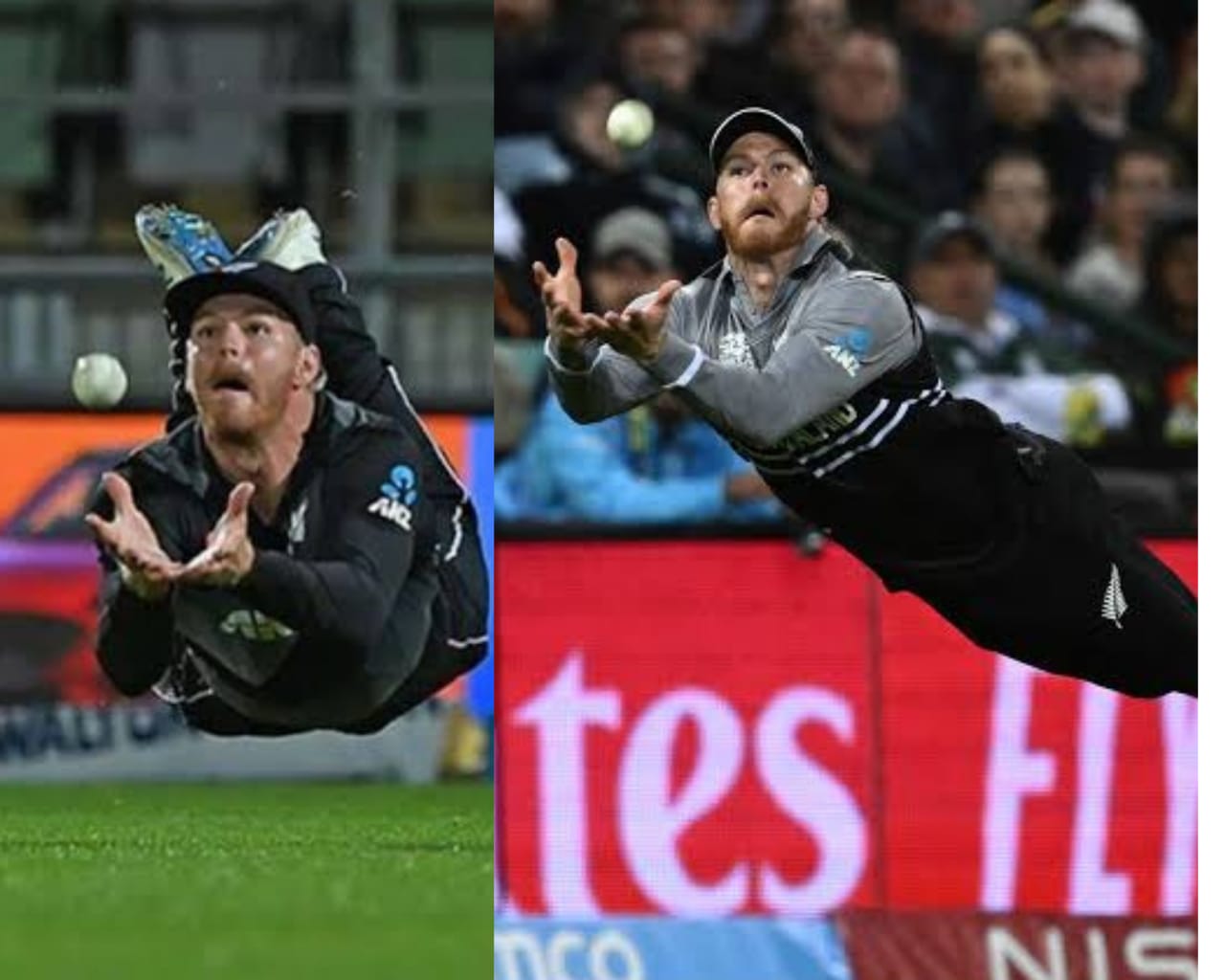 Glenn phillips fielding